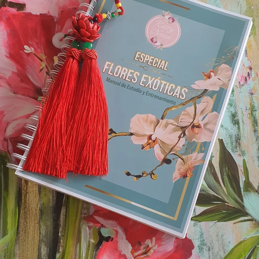 IMG_20240213_165451_031