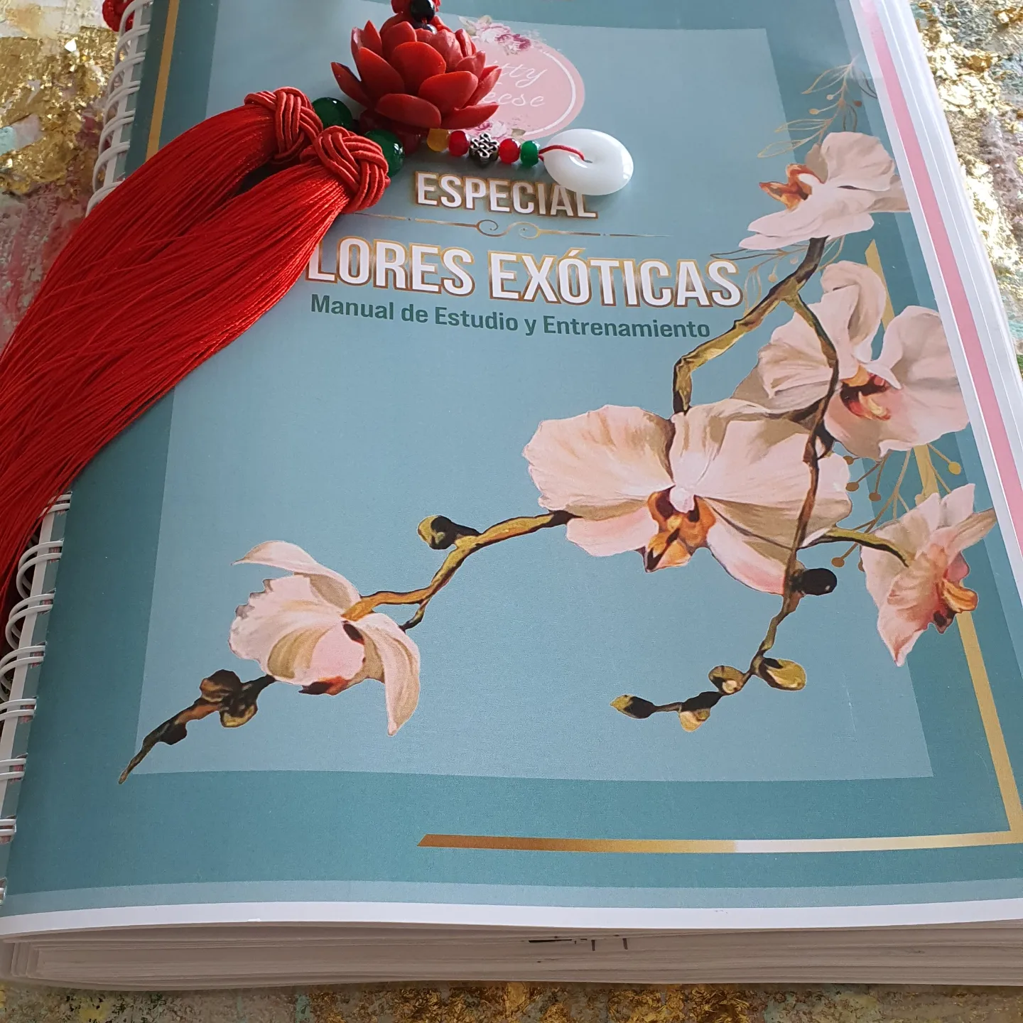 IMG_20240213_165452_268